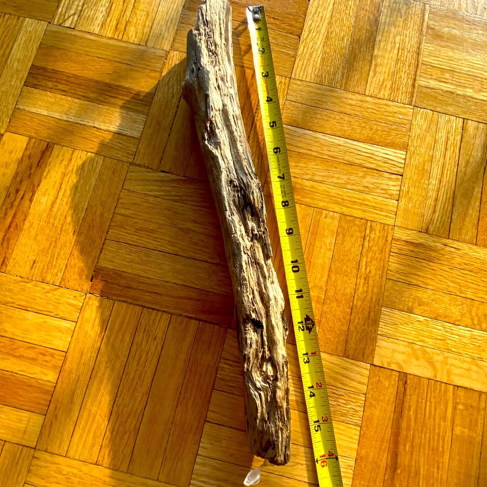 Fake stick.. real wood. Geocaching. Hide